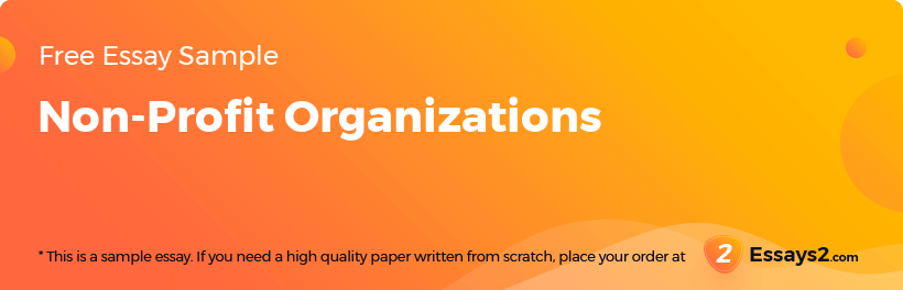 Free «Non-Profit Organizations» Essay Sample