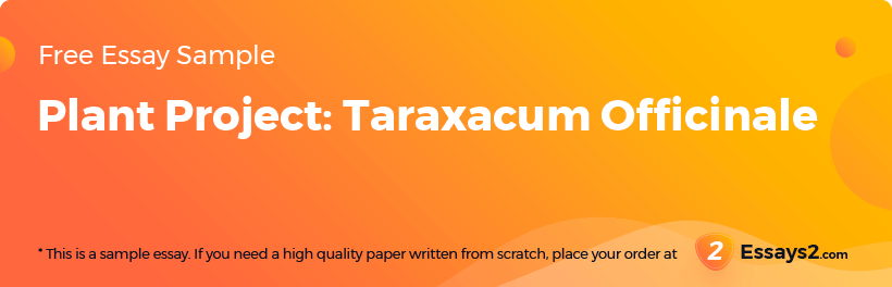 Free «Plant Project: Taraxacum Officinale» Essay Sample